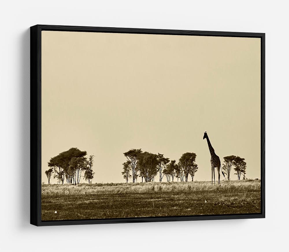 African landscape with giraffe in black and white HD Metal Print - Canvas Art Rocks - 6