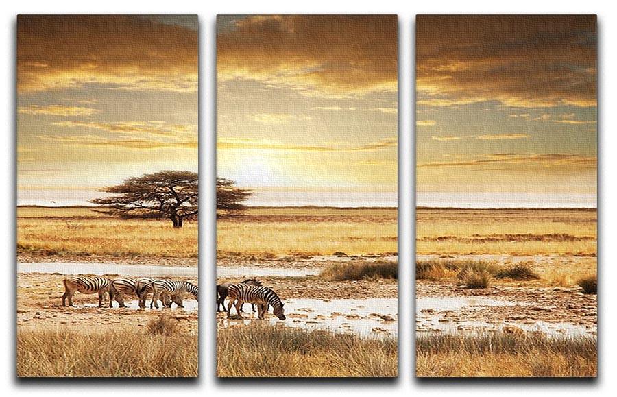 African safari 3 Split Panel Canvas Print - Canvas Art Rocks - 1