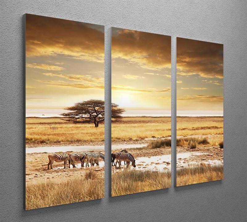 African safari 3 Split Panel Canvas Print - Canvas Art Rocks - 2