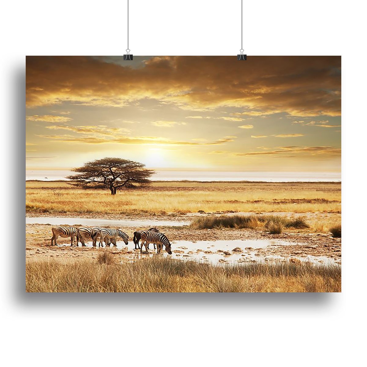 African safari Canvas Print or Poster