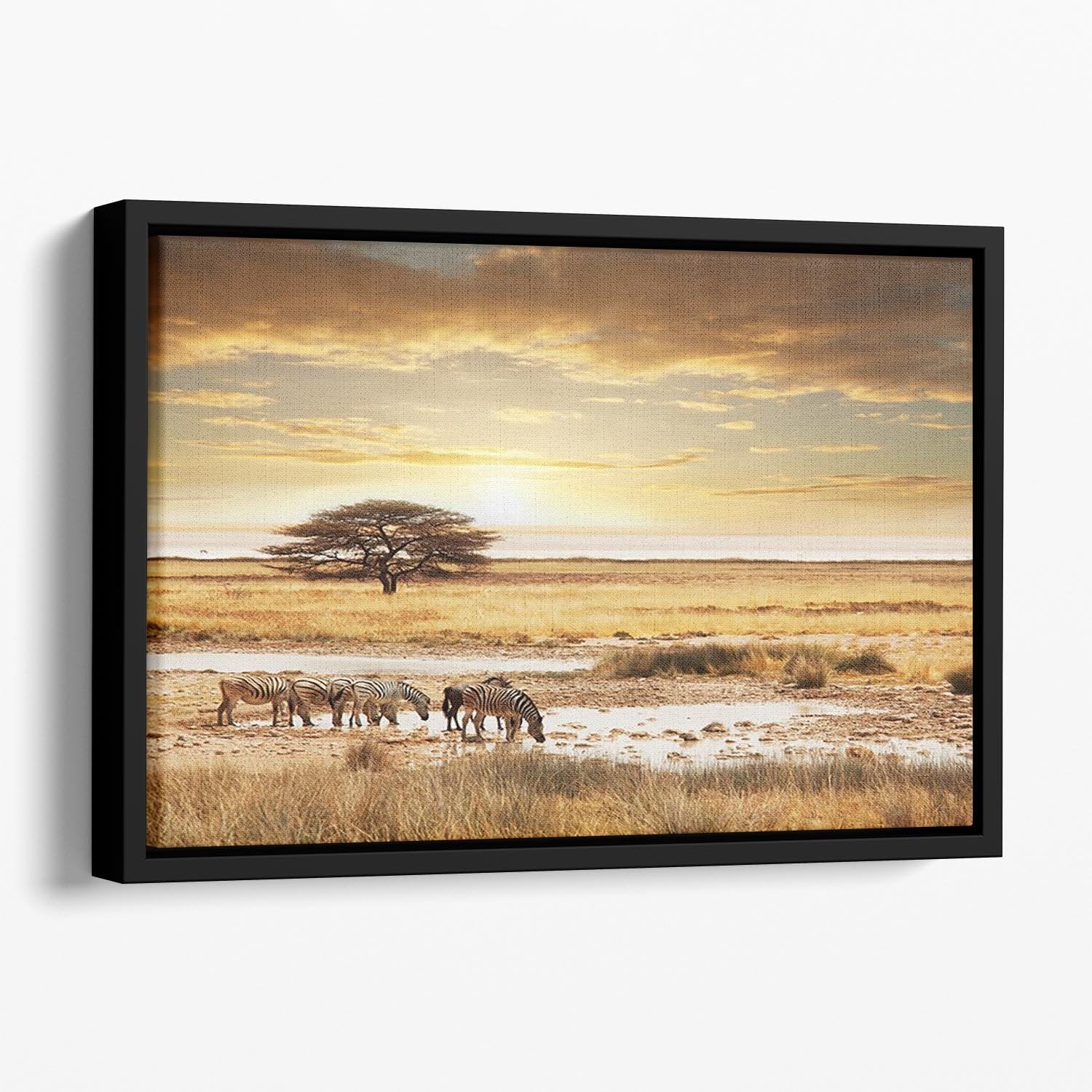 African safari Floating Framed Canvas - Canvas Art Rocks - 1