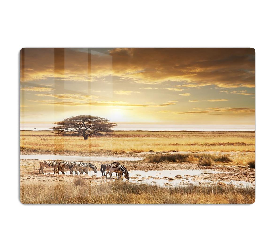 African safari HD Metal Print - Canvas Art Rocks - 1