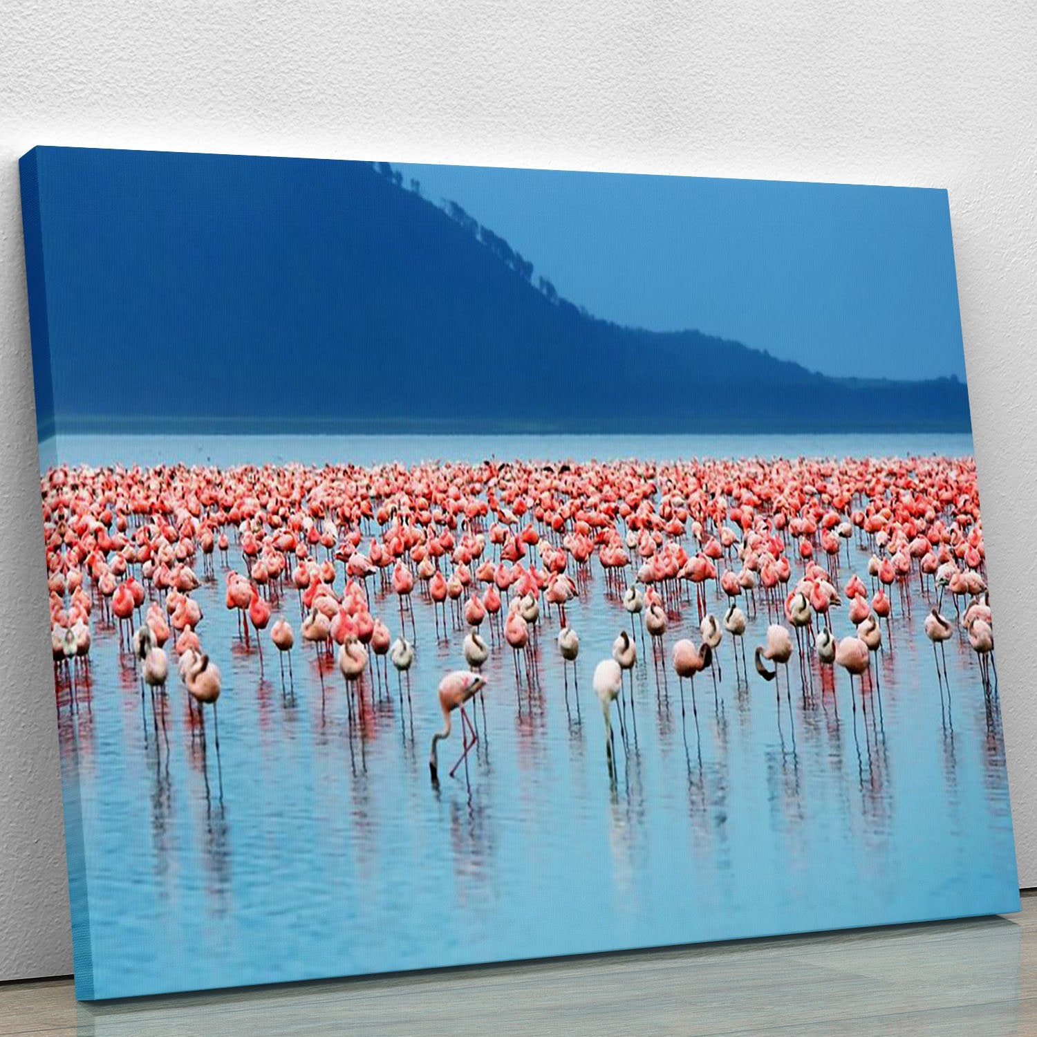 African safari flamingos in the lake Canvas Print or Poster