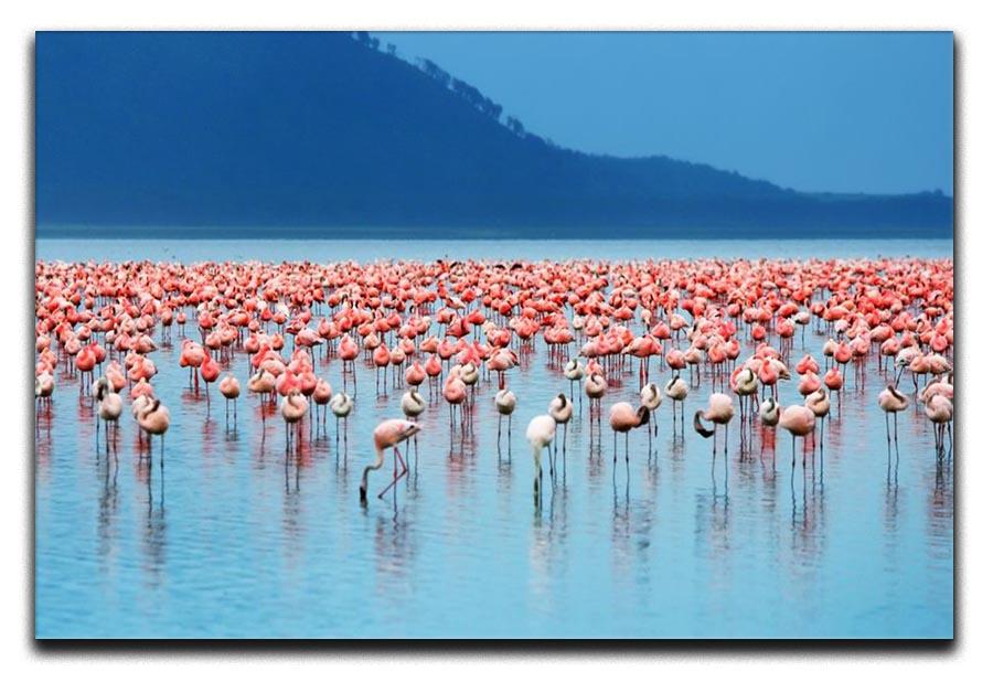 African safari flamingos in the lake Canvas Print or Poster - Canvas Art Rocks - 1