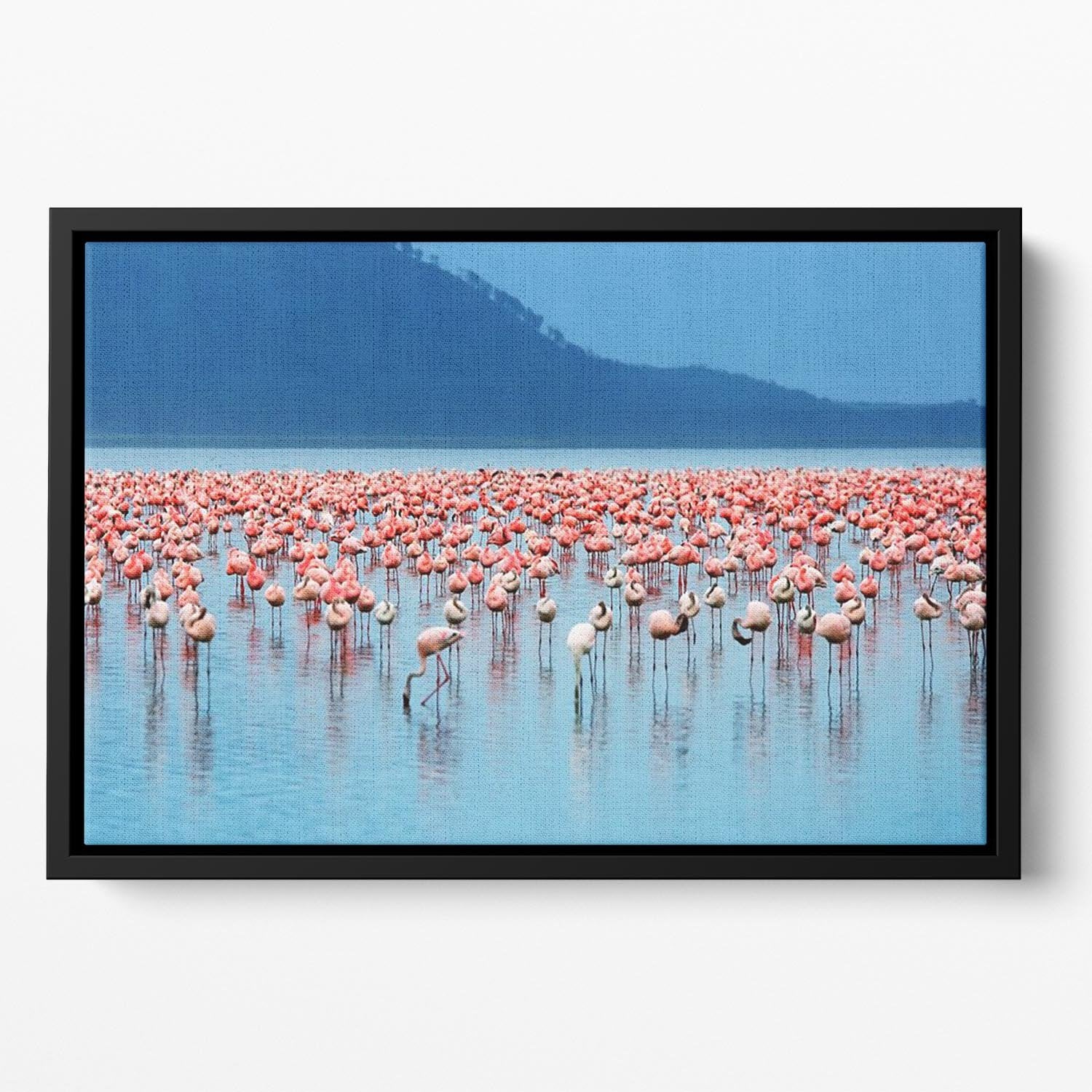 African safari flamingos in the lake Floating Framed Canvas - Canvas Art Rocks - 2