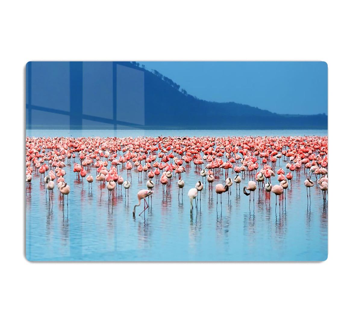 African safari flamingos in the lake HD Metal Print - Canvas Art Rocks - 1