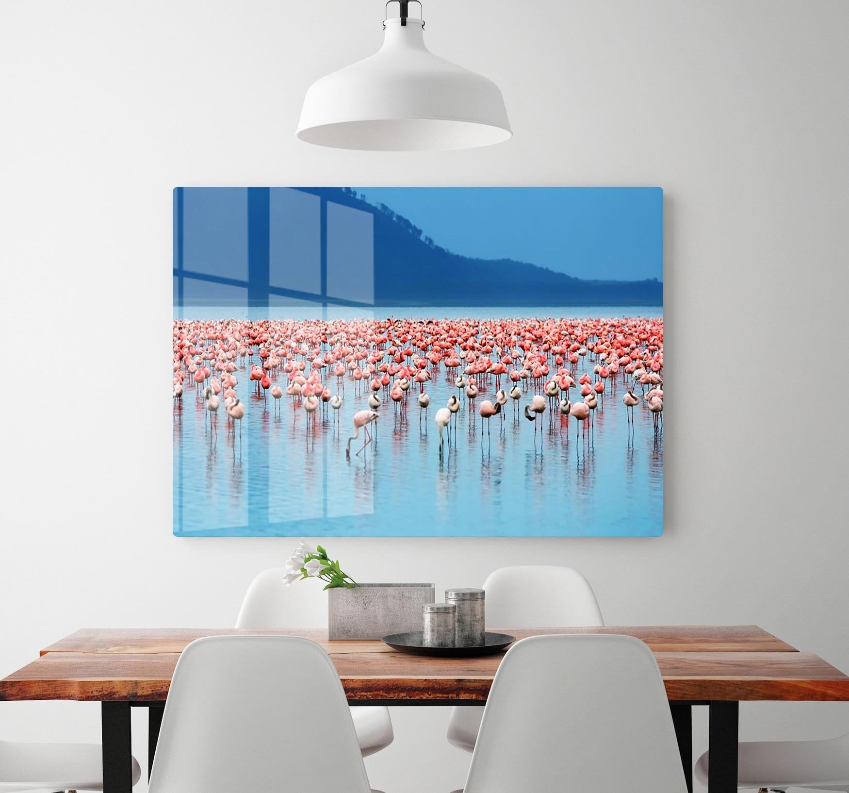 African safari flamingos in the lake HD Metal Print - Canvas Art Rocks - 2