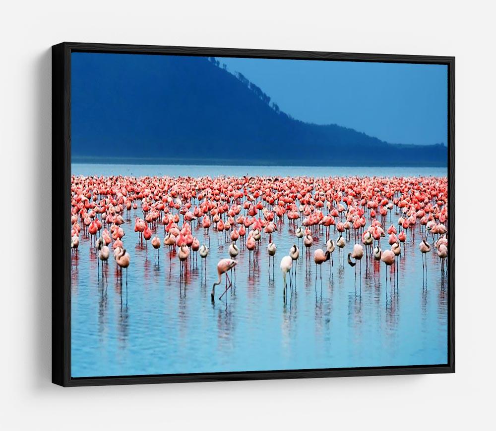African safari flamingos in the lake HD Metal Print - Canvas Art Rocks - 6