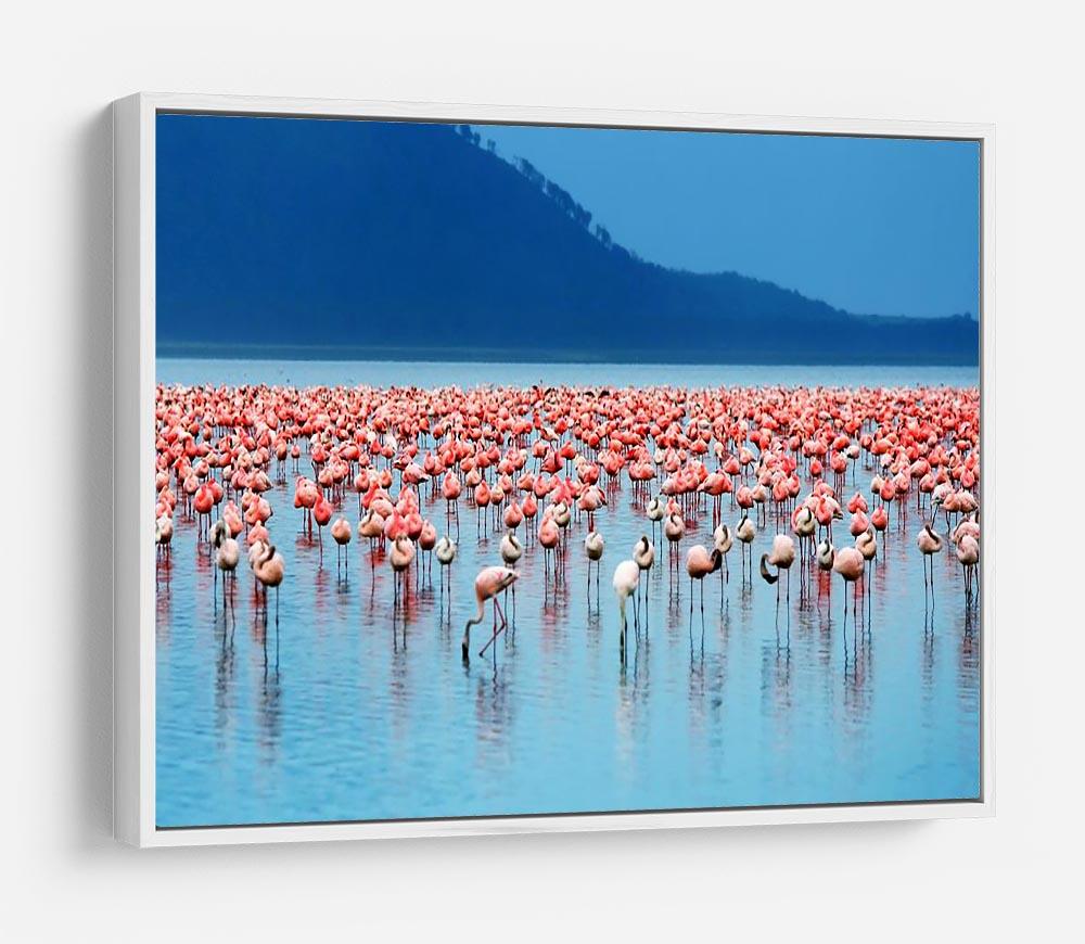 African safari flamingos in the lake HD Metal Print - Canvas Art Rocks - 7