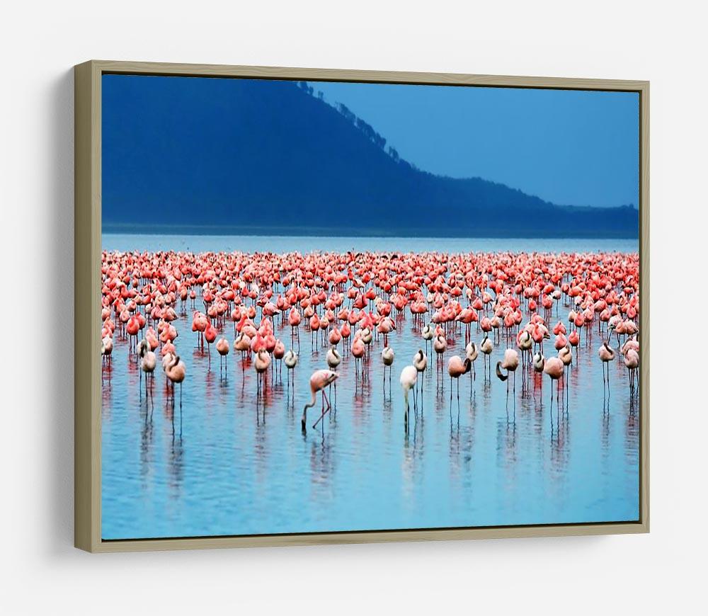 African safari flamingos in the lake HD Metal Print - Canvas Art Rocks - 8