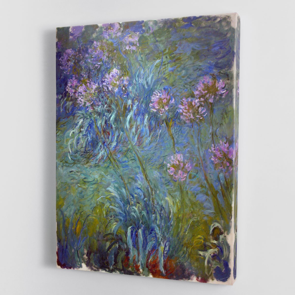 Agapanthus by Monet Canvas Print or Poster