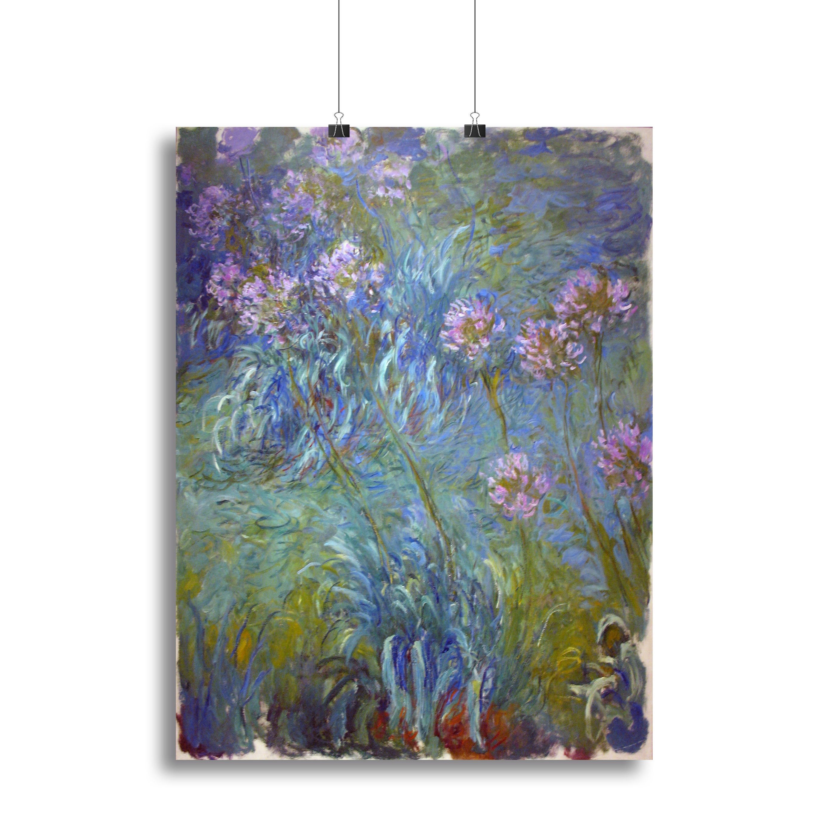Agapanthus by Monet Canvas Print or Poster