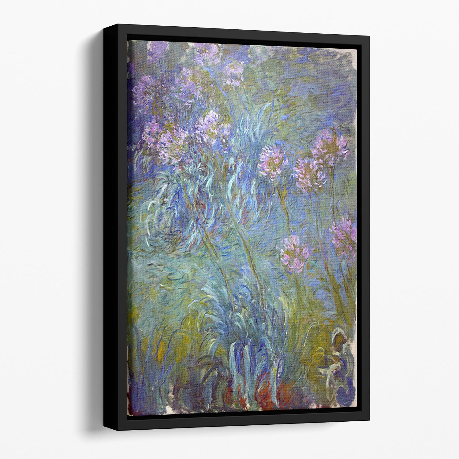 Agapanthus by Monet Floating Framed Canvas