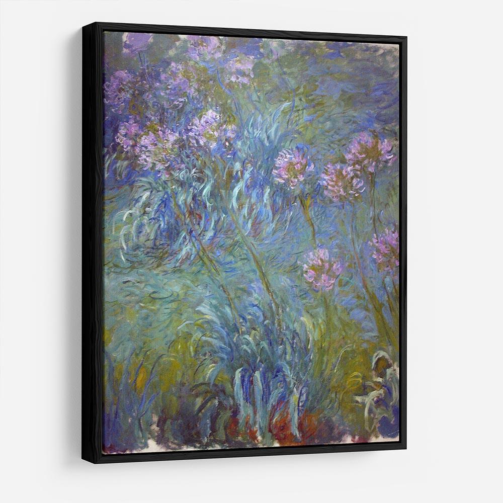 Agapanthus by Monet HD Metal Print