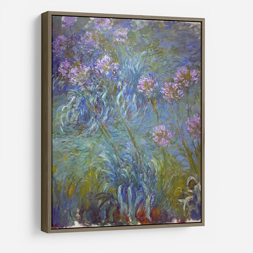 Agapanthus by Monet HD Metal Print