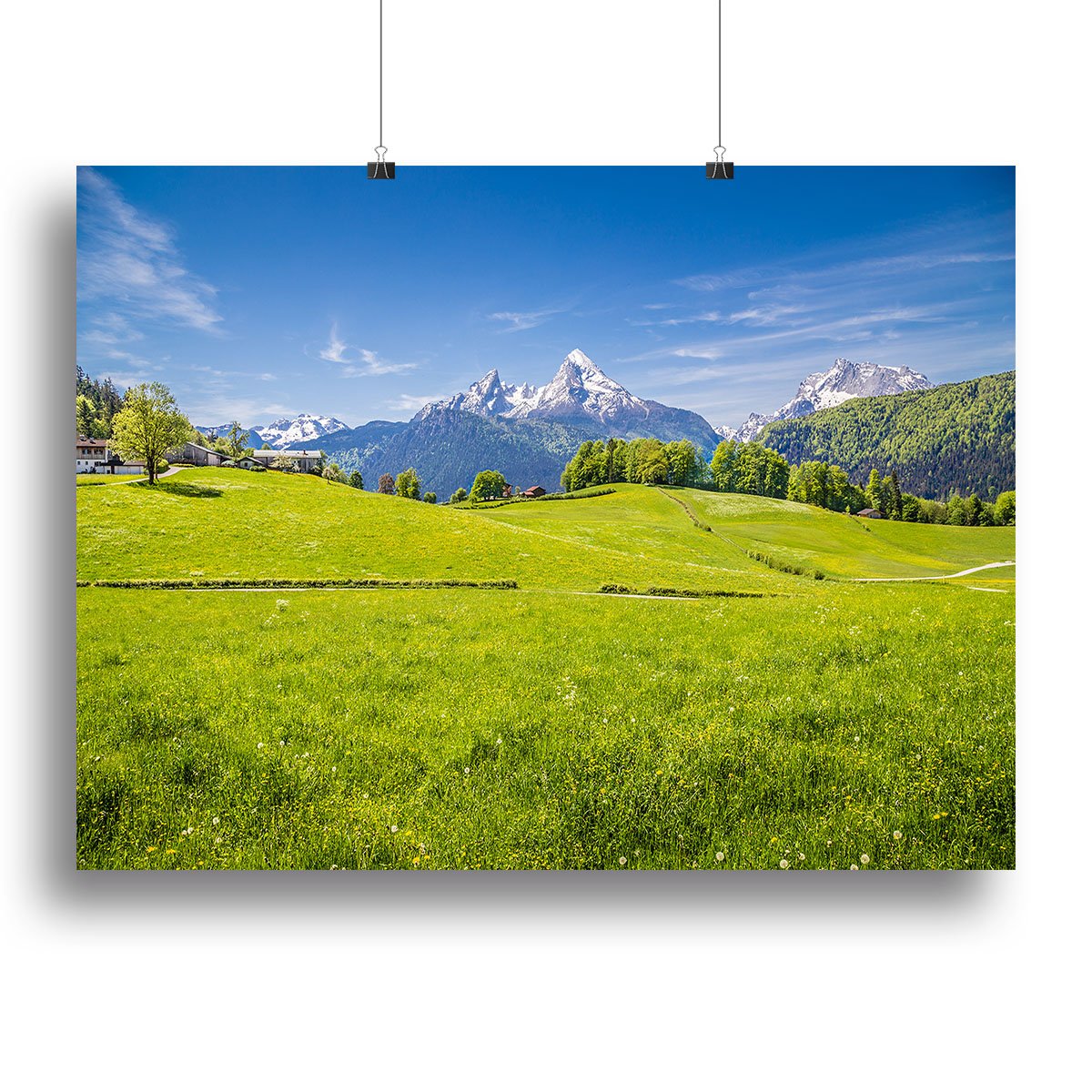 Alps with fresh green meadow Canvas Print or Poster