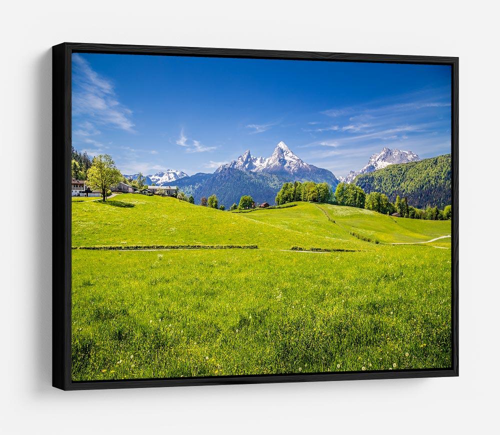 Alps with fresh green meadow HD Metal Print