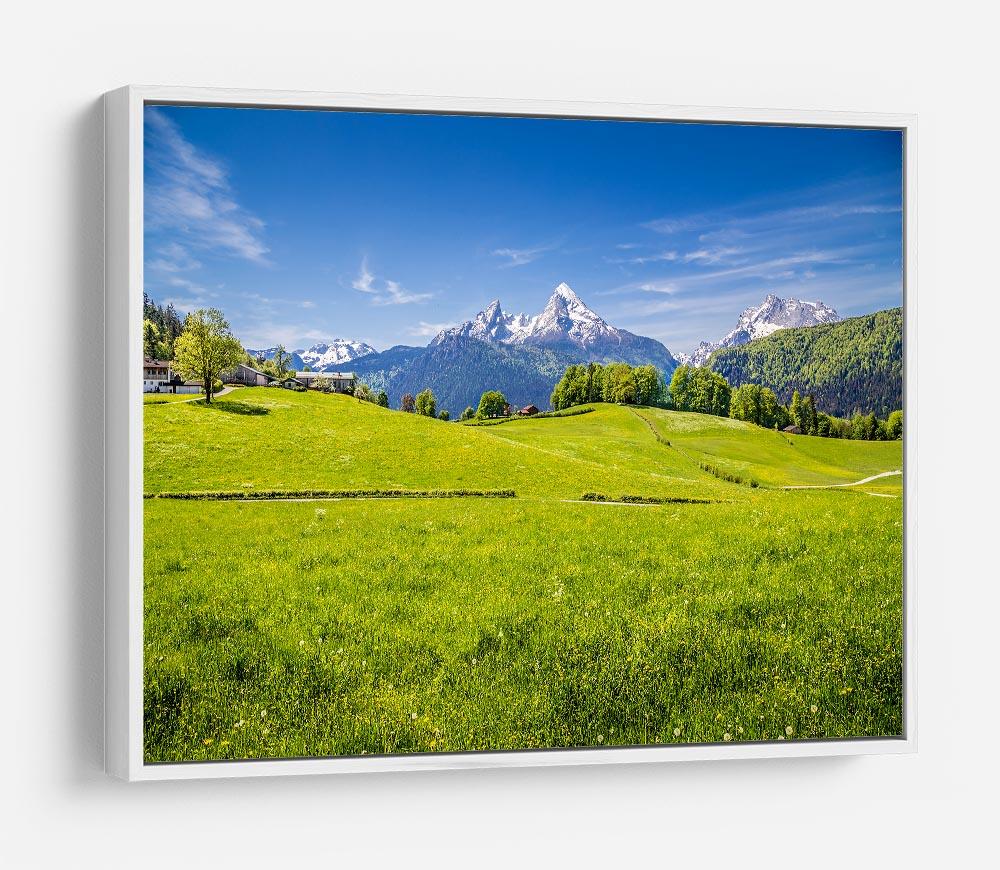 Alps with fresh green meadow HD Metal Print