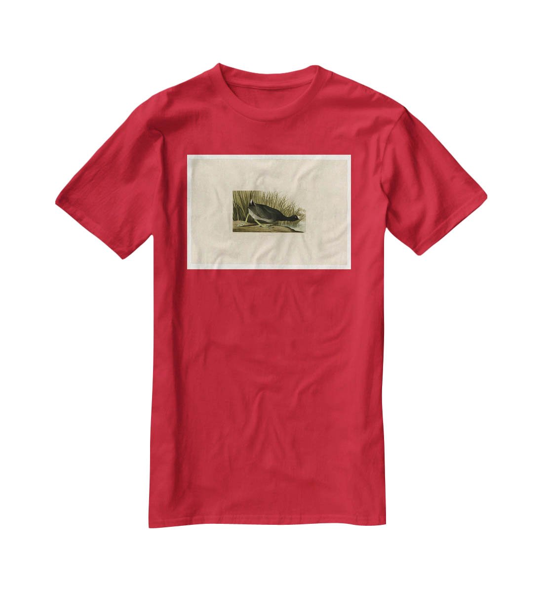 American Coot by Audubon T-Shirt - Canvas Art Rocks - 4