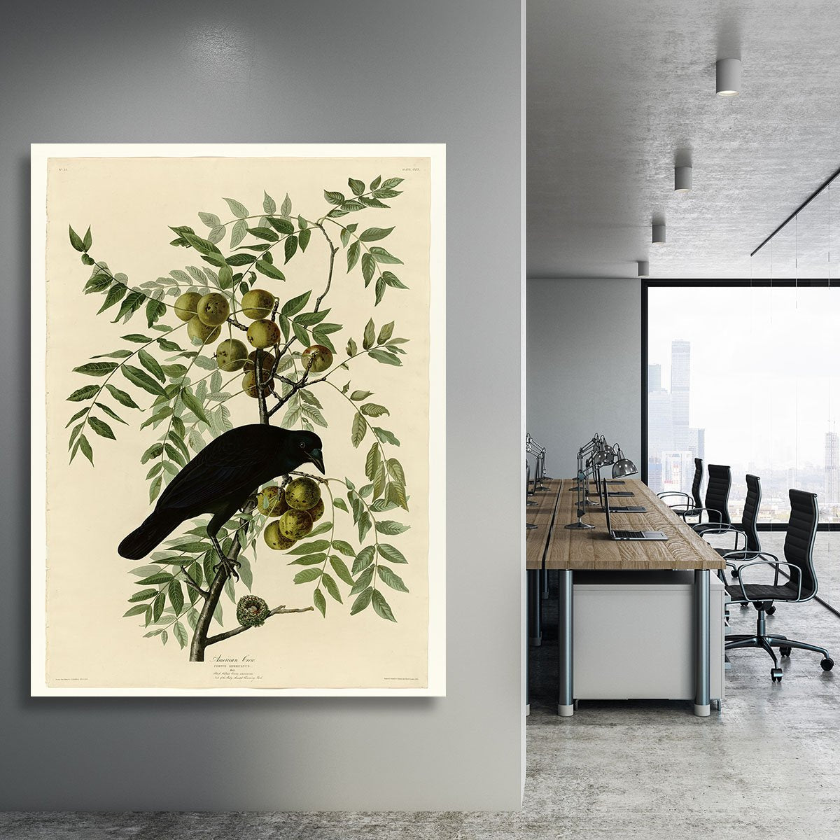 American Crow by Audubon Canvas Print or Poster