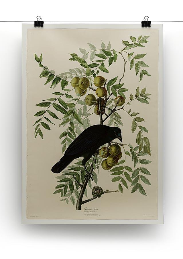 American Crow by Audubon Canvas Print or Poster - Canvas Art Rocks - 2