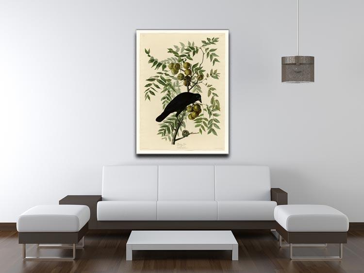 American Crow by Audubon Canvas Print or Poster - Canvas Art Rocks - 4