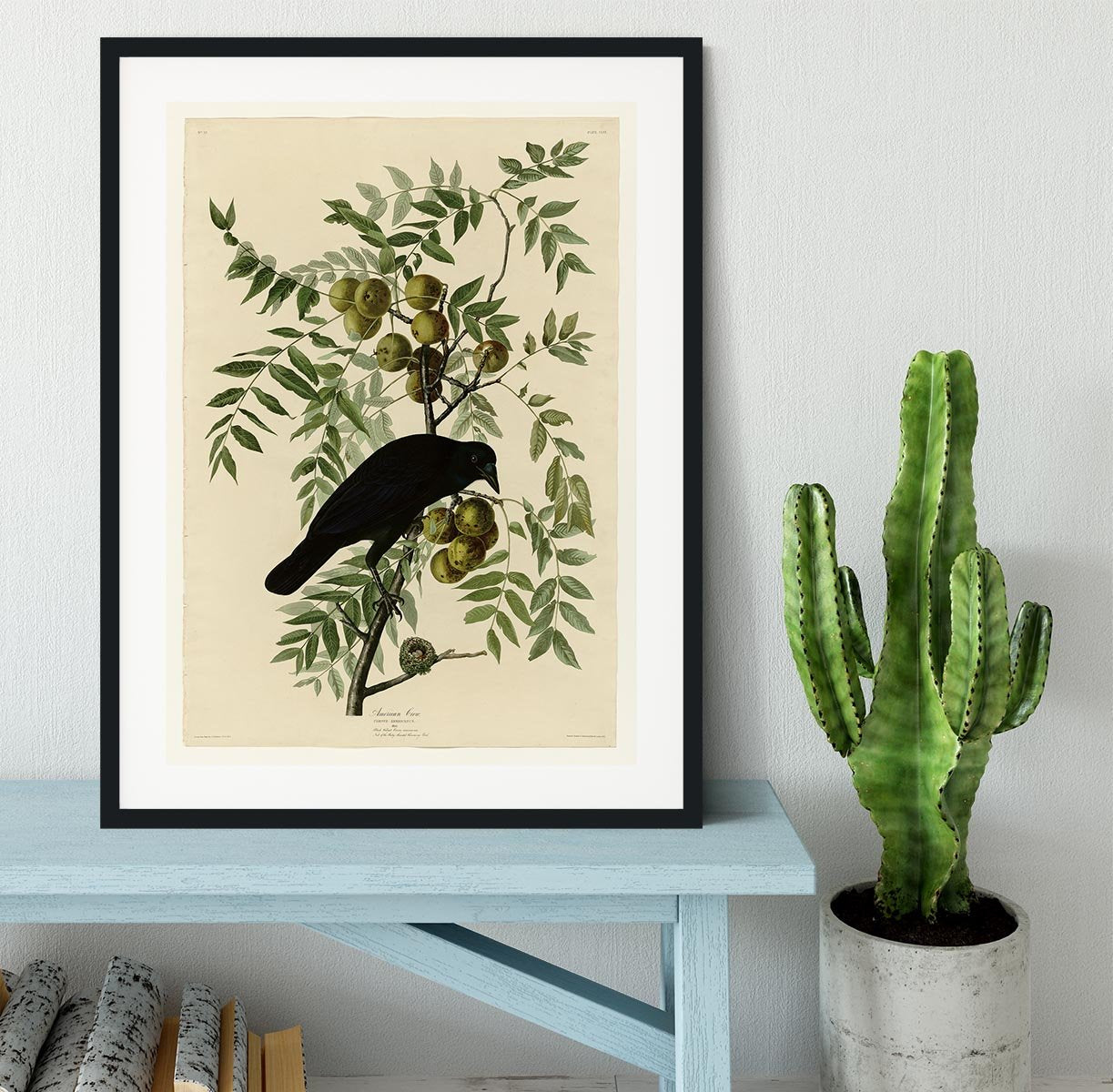 American Crow by Audubon Framed Print - Canvas Art Rocks - 1