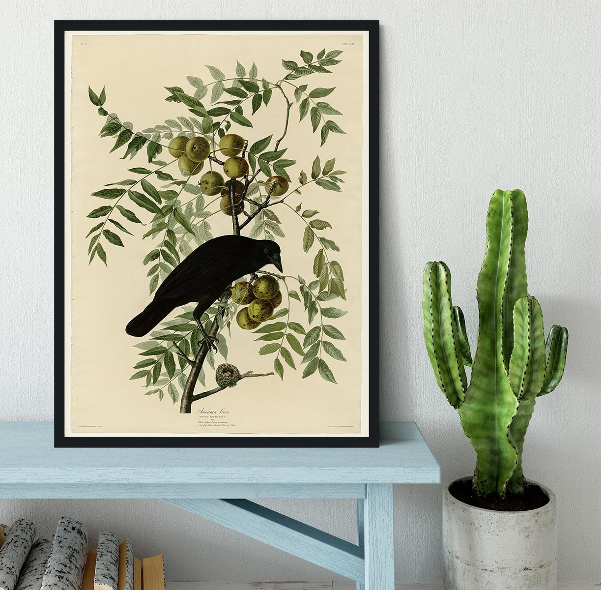 American Crow by Audubon Framed Print - Canvas Art Rocks - 2