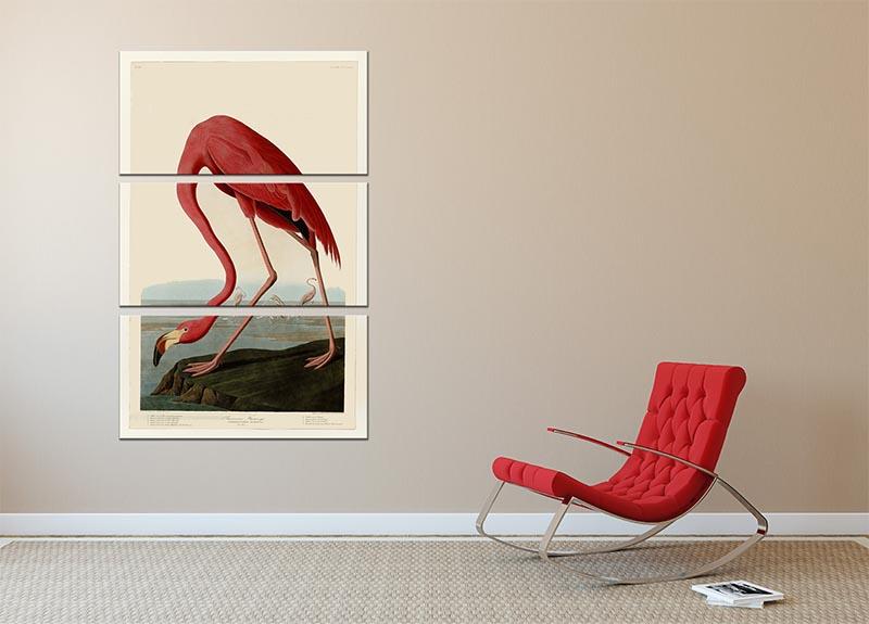 American Flamingo 2 by Audubon 3 Split Panel Canvas Print - Canvas Art Rocks - 2