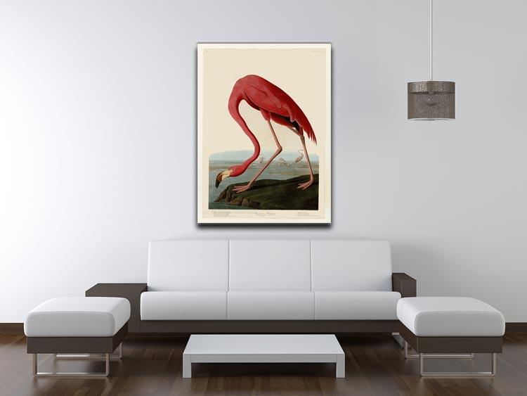 American Flamingo 2 by Audubon Canvas Print or Poster - Canvas Art Rocks - 4