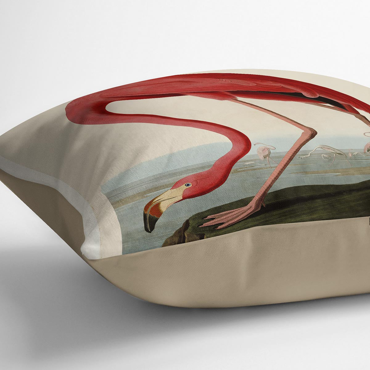 American Flamingo 2 by Audubon Cushion