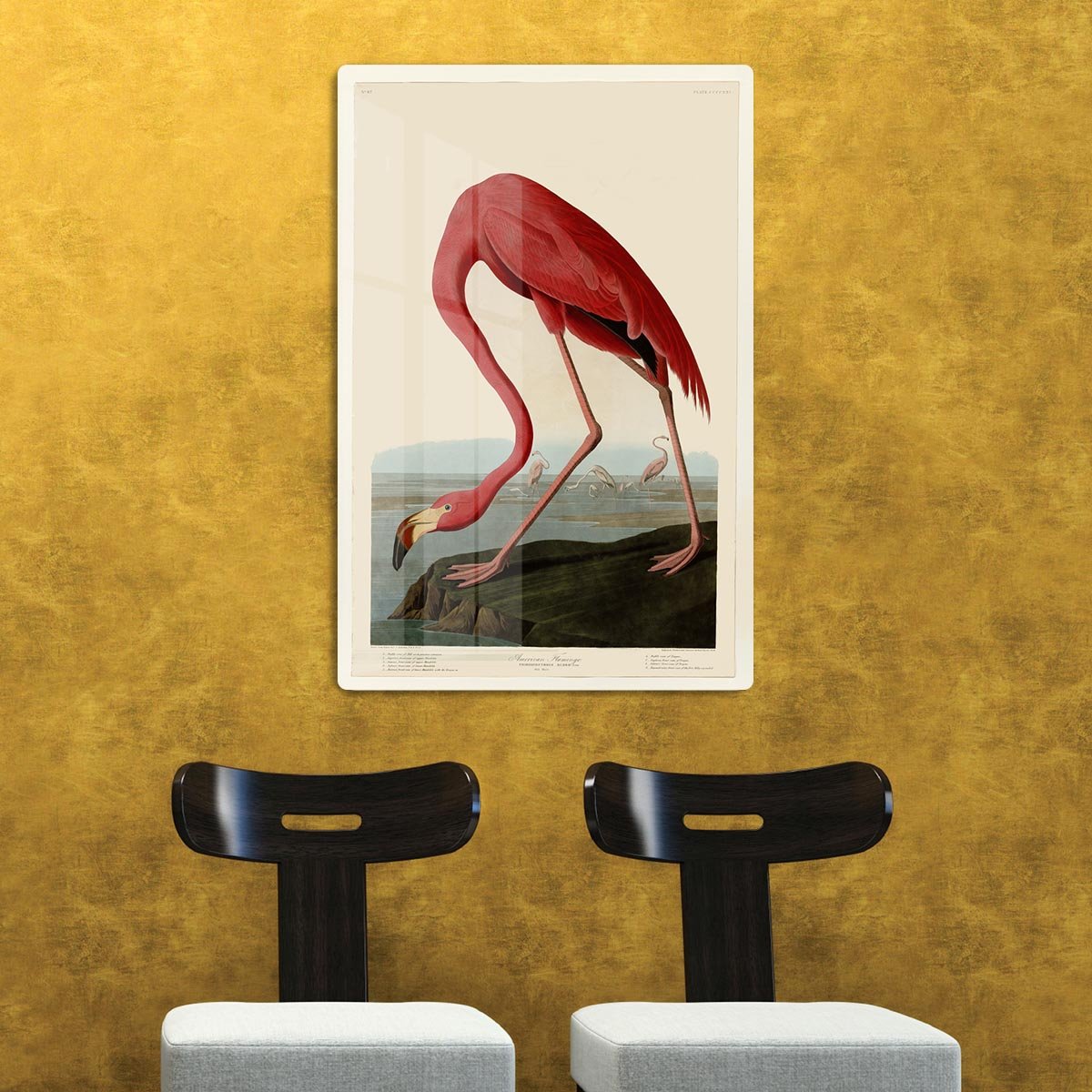 American Flamingo 2 by Audubon HD Metal Print - Canvas Art Rocks - 2