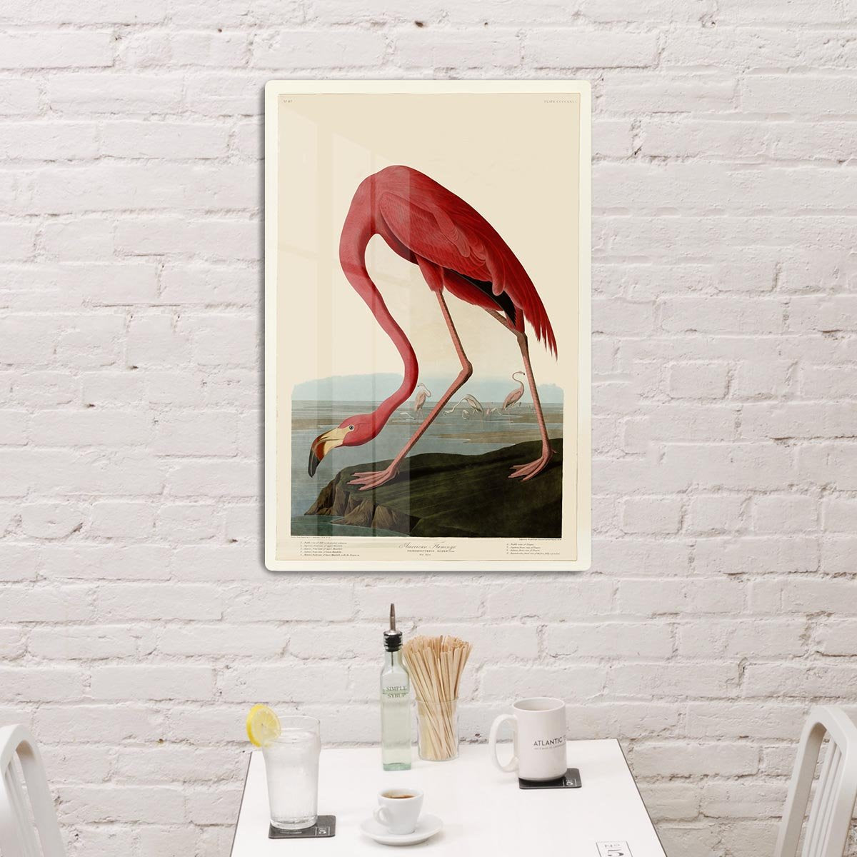 American Flamingo 2 by Audubon HD Metal Print - Canvas Art Rocks - 3
