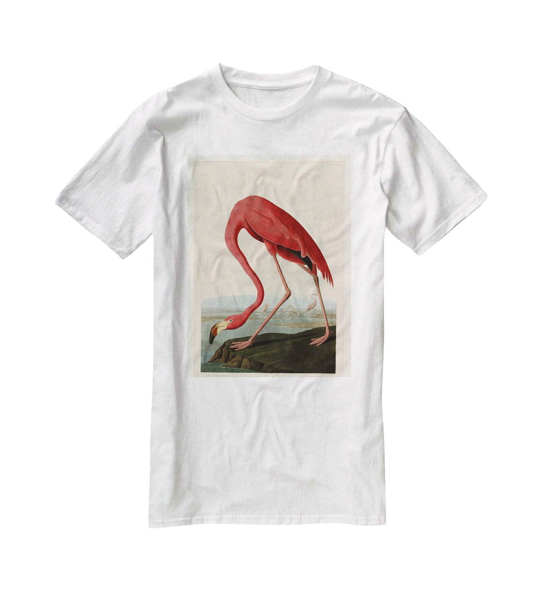American Flamingo 2 by Audubon T-Shirt - Canvas Art Rocks - 5