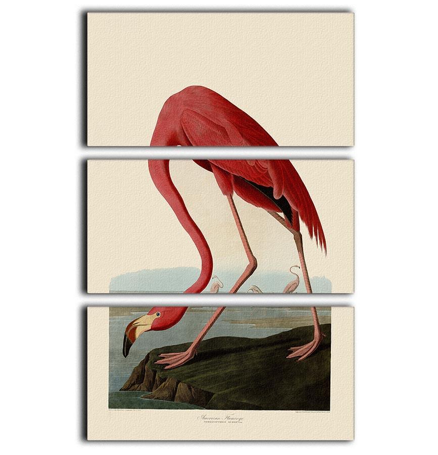 American Flamingo by Audubon 3 Split Panel Canvas Print - Canvas Art Rocks - 1
