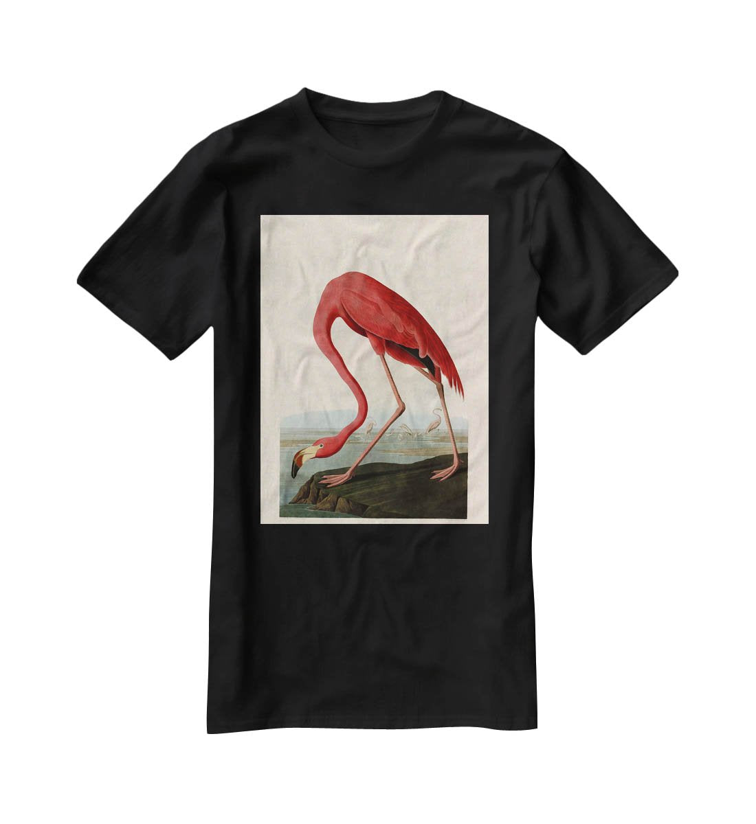 American Flamingo by Audubon T-Shirt - Canvas Art Rocks - 1