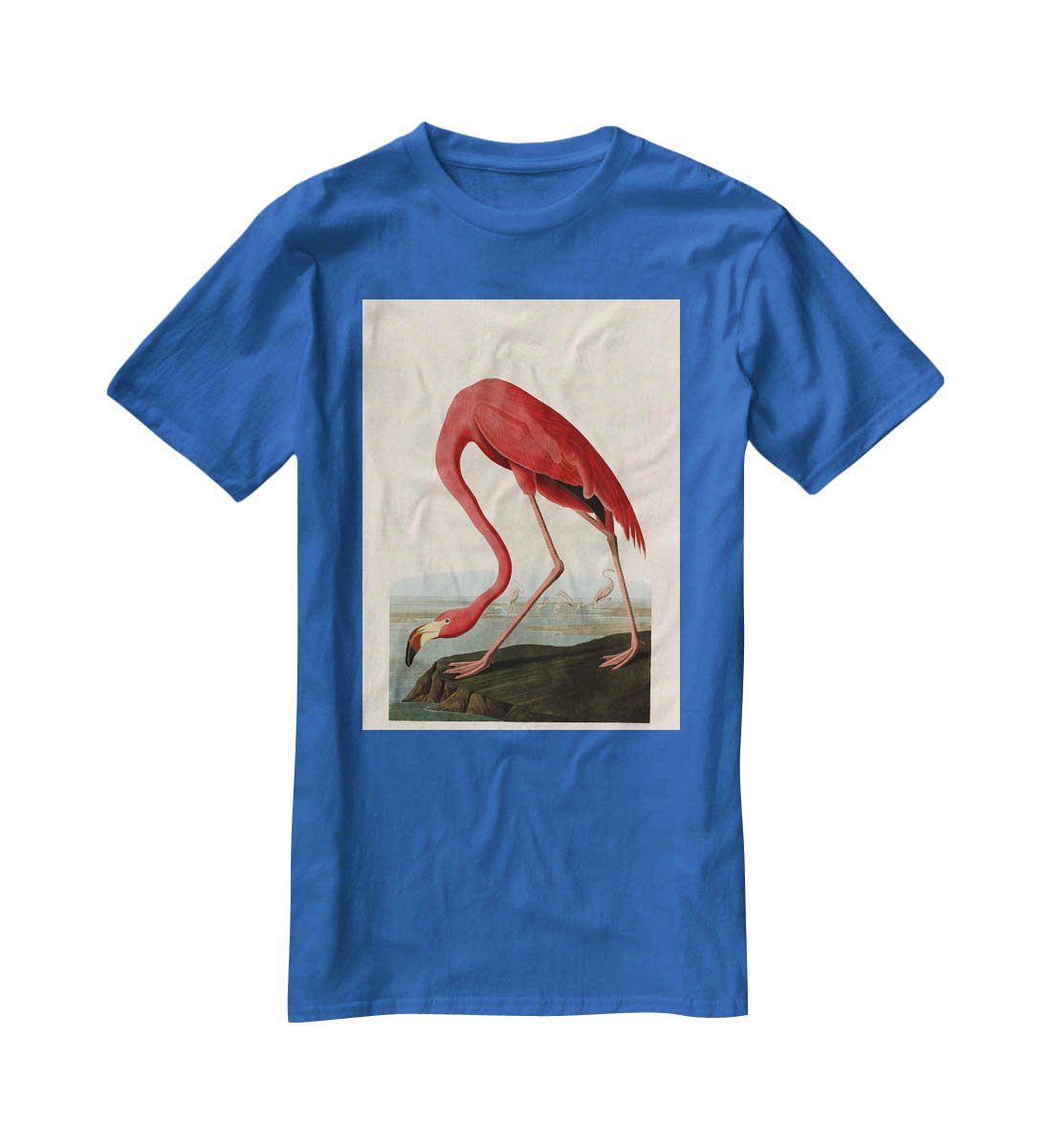 American Flamingo by Audubon T-Shirt - Canvas Art Rocks - 2