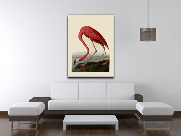 American Flamingo by Audubon Canvas Print or Poster - Canvas Art Rocks - 4