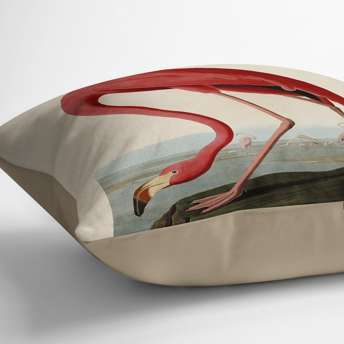 American Flamingo by Audubon Cushion