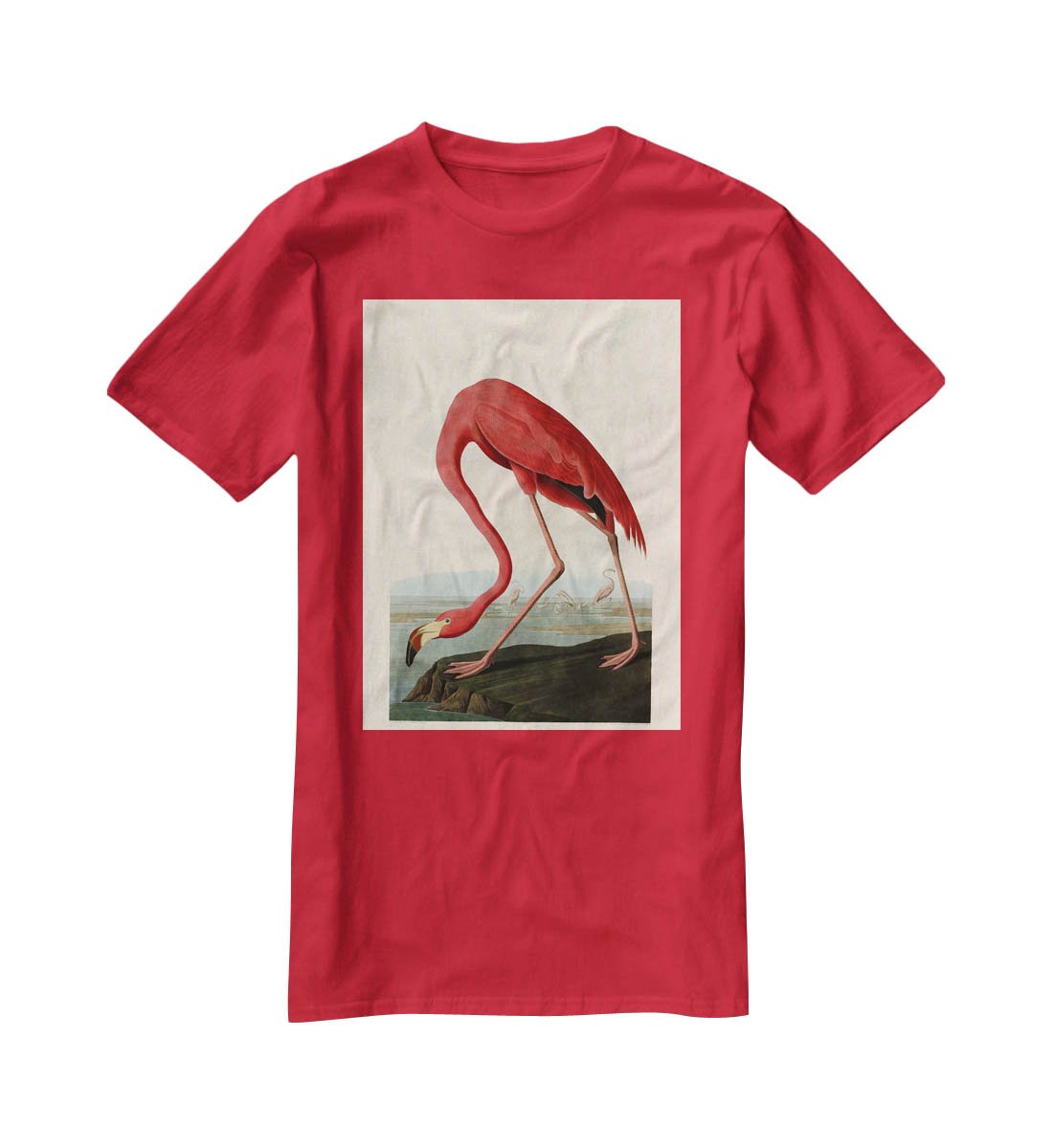 American Flamingo by Audubon T-Shirt - Canvas Art Rocks - 4