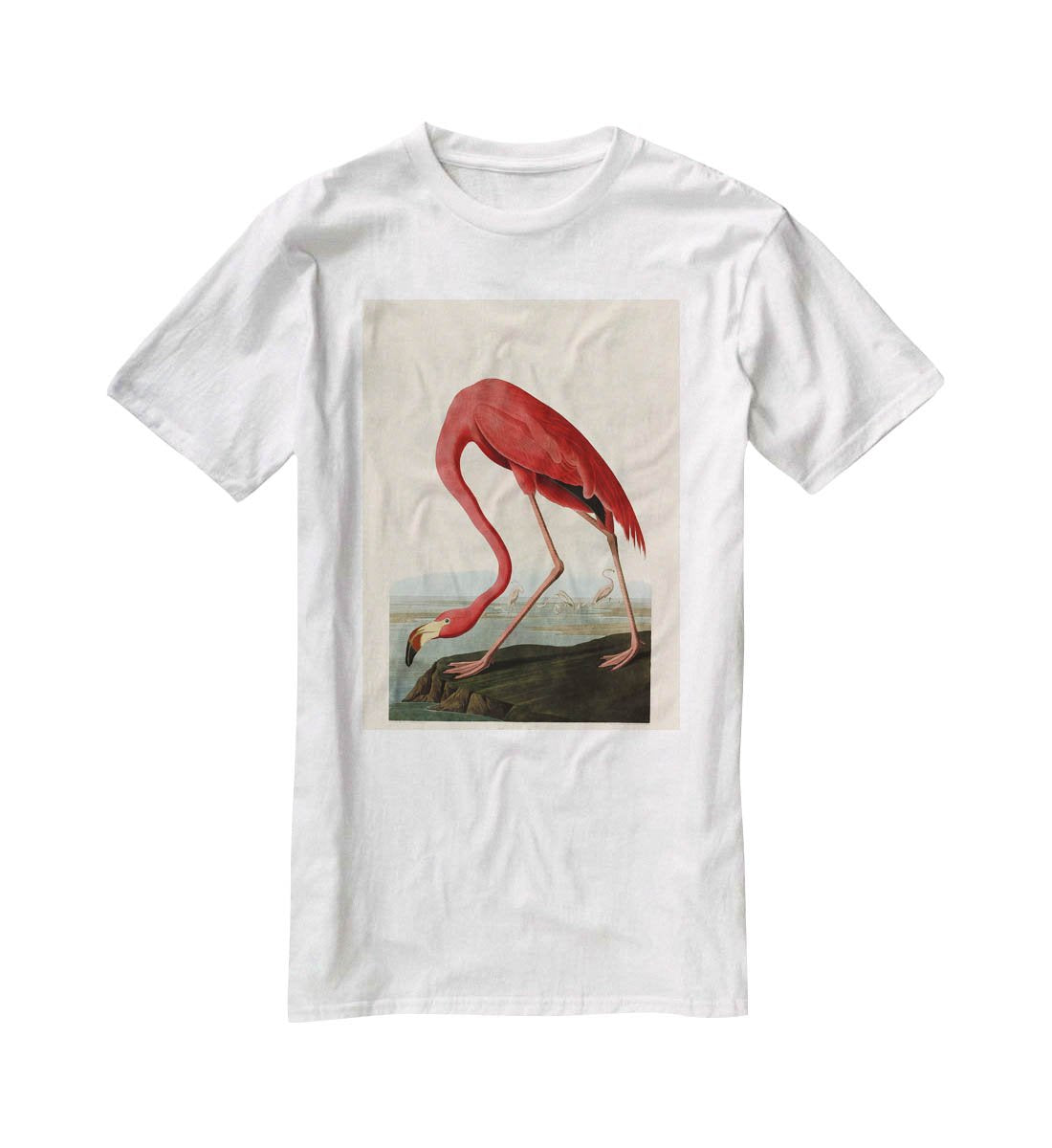 American Flamingo by Audubon T-Shirt - Canvas Art Rocks - 5