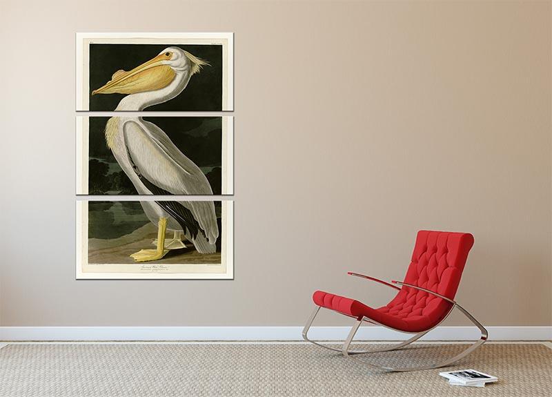 American White Pelican by Audubon 3 Split Panel Canvas Print - Canvas Art Rocks - 2