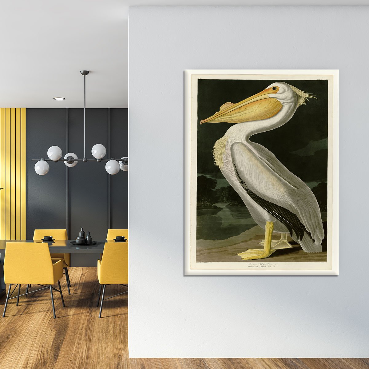 American White Pelican by Audubon Canvas Print or Poster