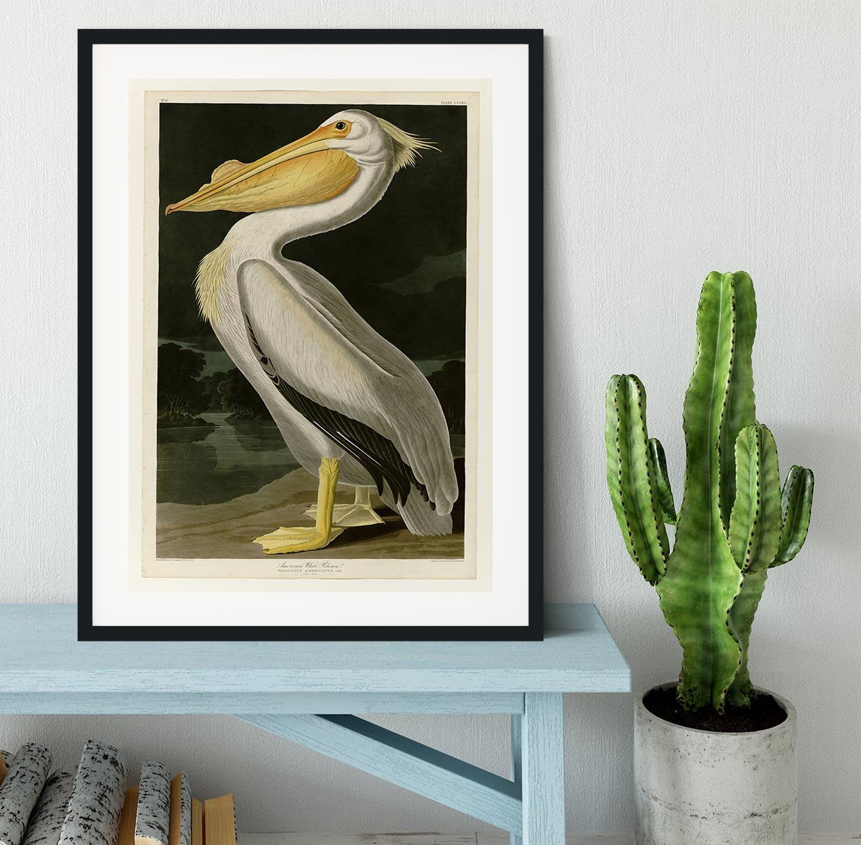American White Pelican by Audubon Framed Print - Canvas Art Rocks - 1