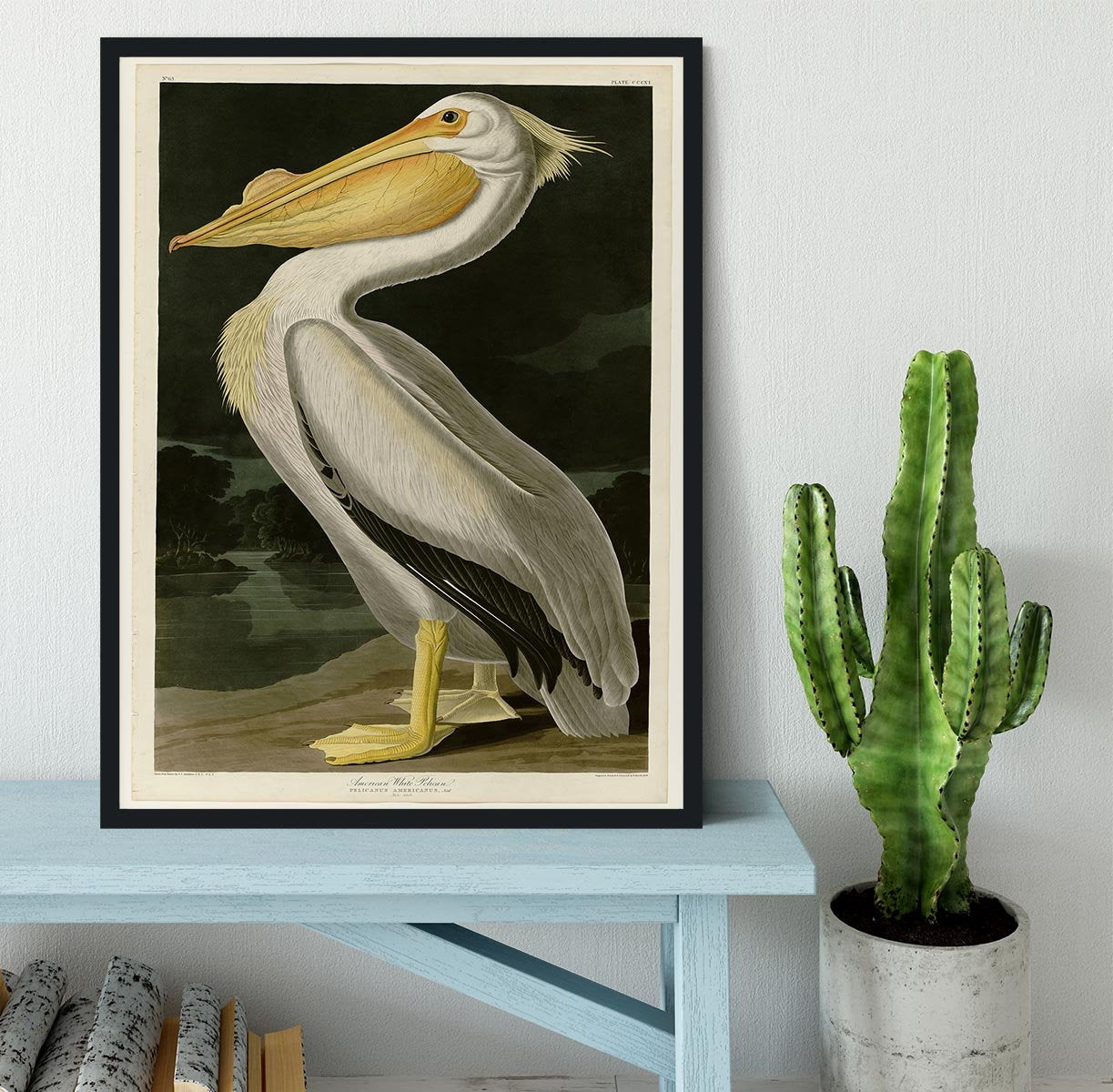 American White Pelican by Audubon Framed Print - Canvas Art Rocks - 2