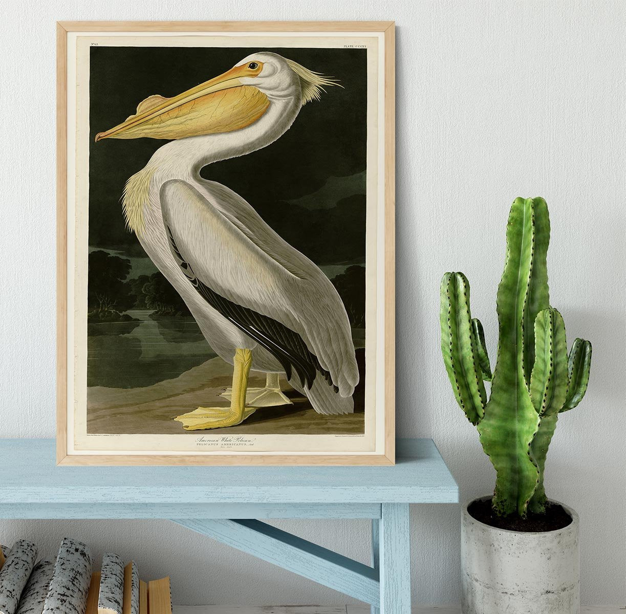 American White Pelican by Audubon Framed Print - Canvas Art Rocks - 4