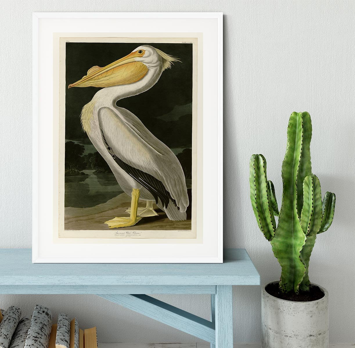 American White Pelican by Audubon Framed Print - Canvas Art Rocks - 5