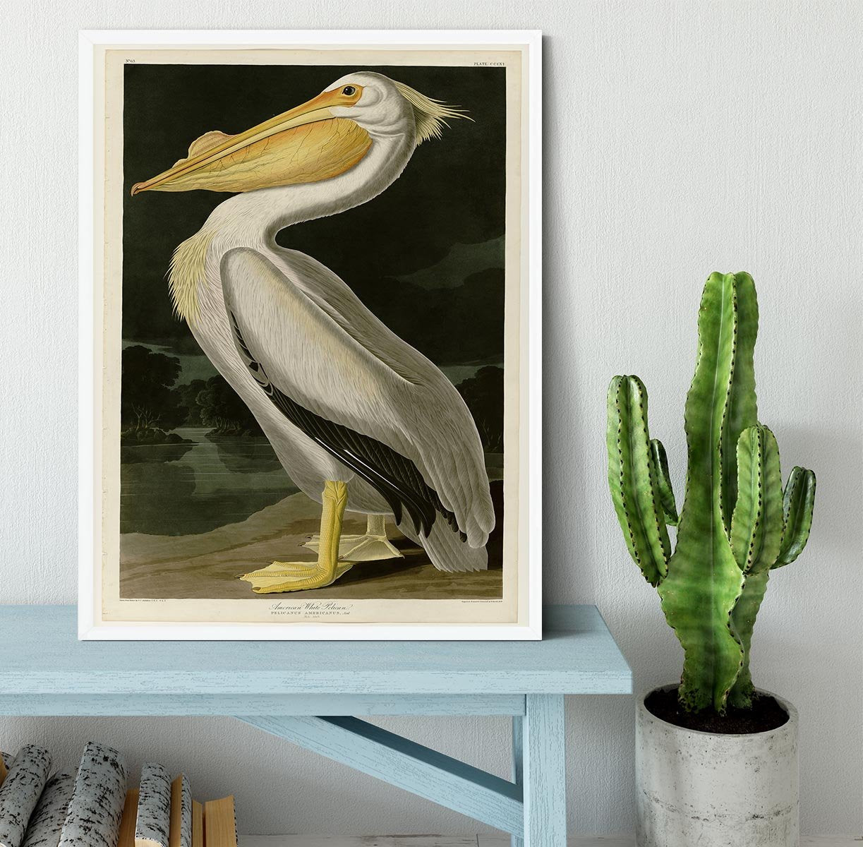 American White Pelican by Audubon Framed Print - Canvas Art Rocks -6