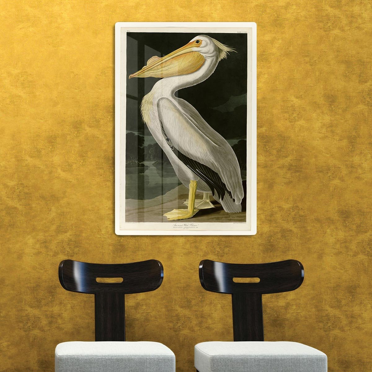 American White Pelican by Audubon HD Metal Print - Canvas Art Rocks - 2