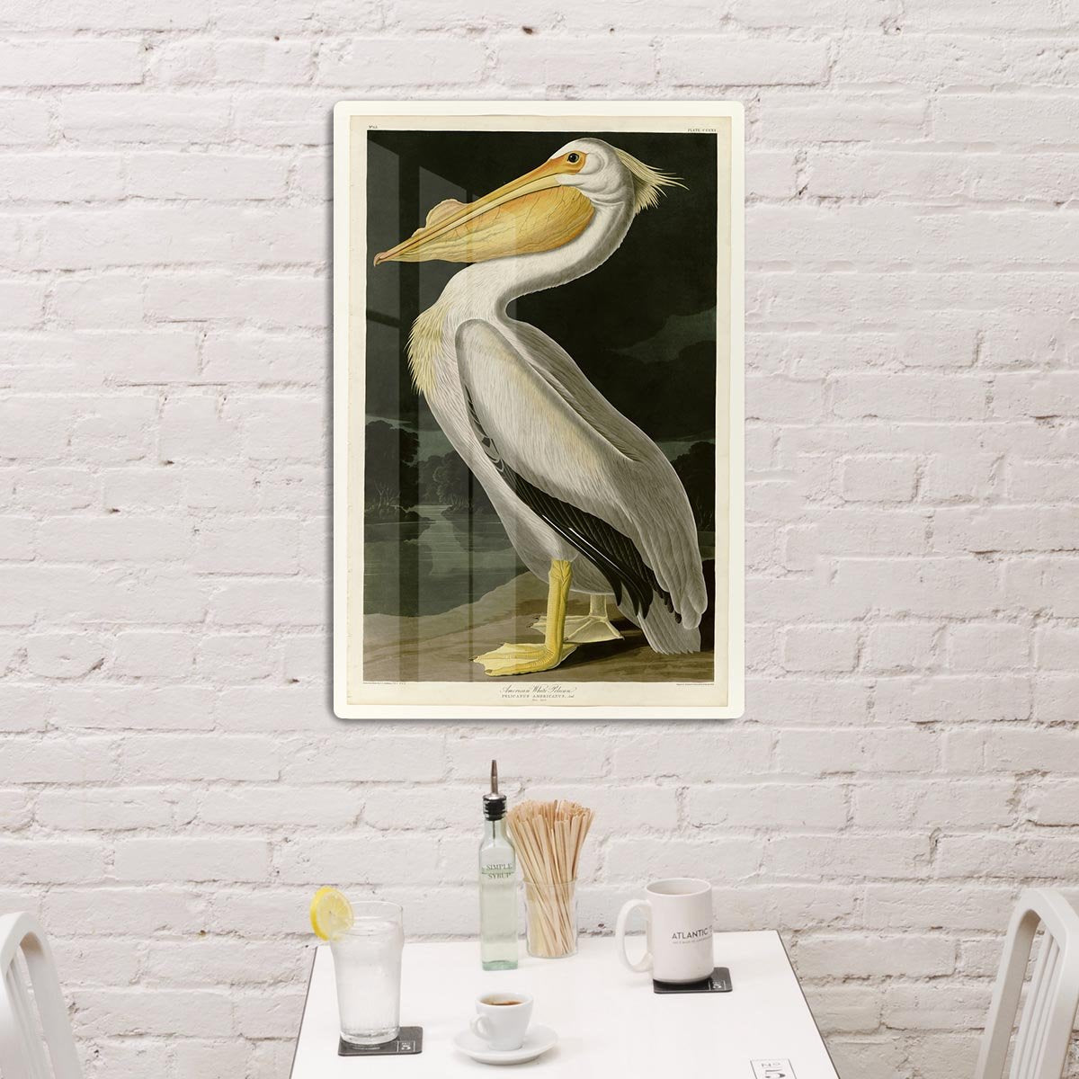 American White Pelican by Audubon HD Metal Print - Canvas Art Rocks - 3